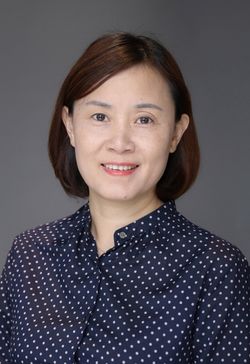 永乐国际